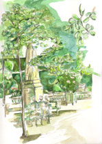 stage de dessin et de peinture � Paris, aquarelle et pierre noire, jardin du Luxembourg. (JPEG)
